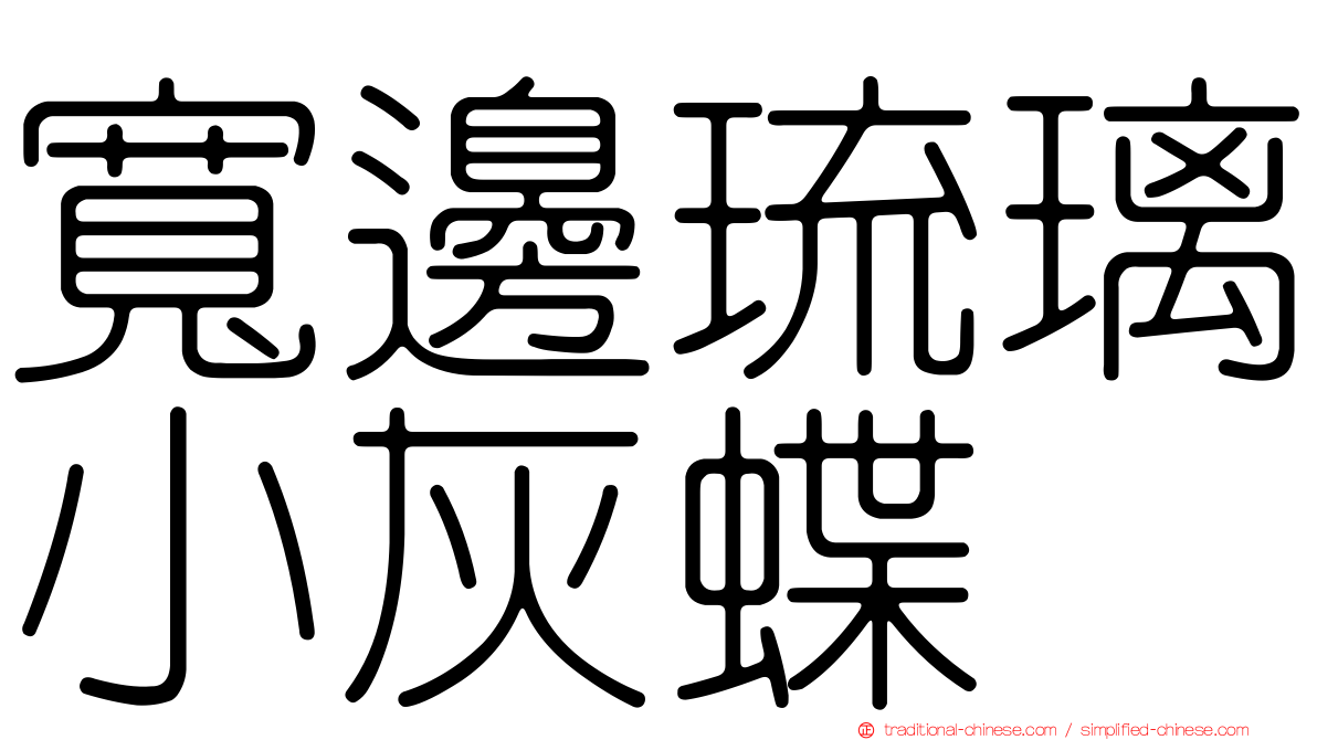 寬邊琉璃小灰蝶