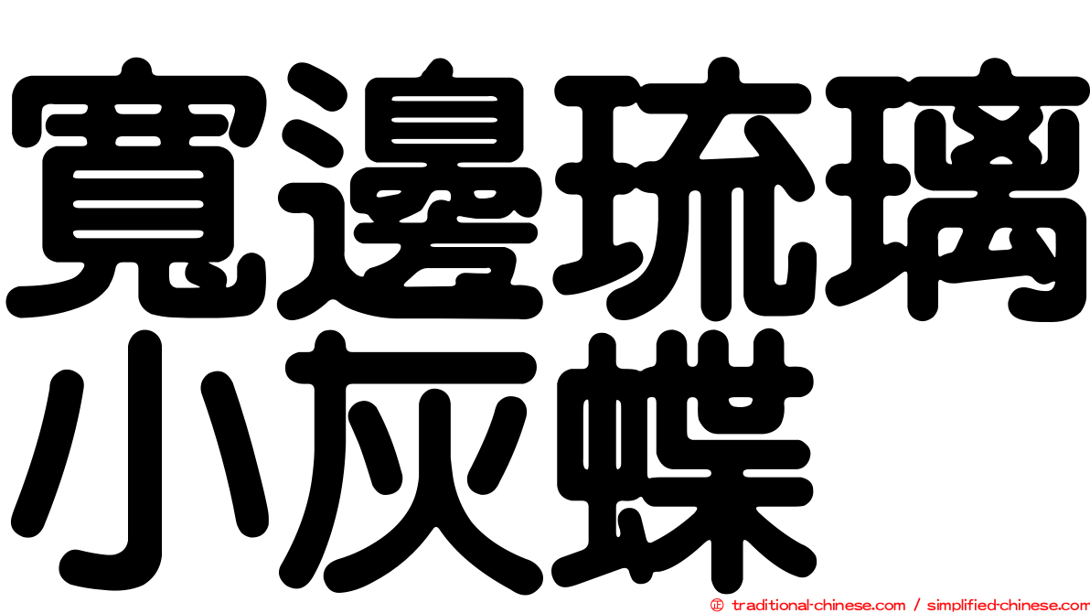 寬邊琉璃小灰蝶