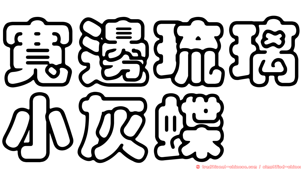 寬邊琉璃小灰蝶