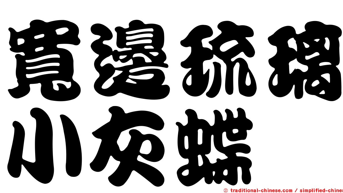 寬邊琉璃小灰蝶