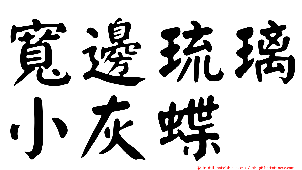 寬邊琉璃小灰蝶