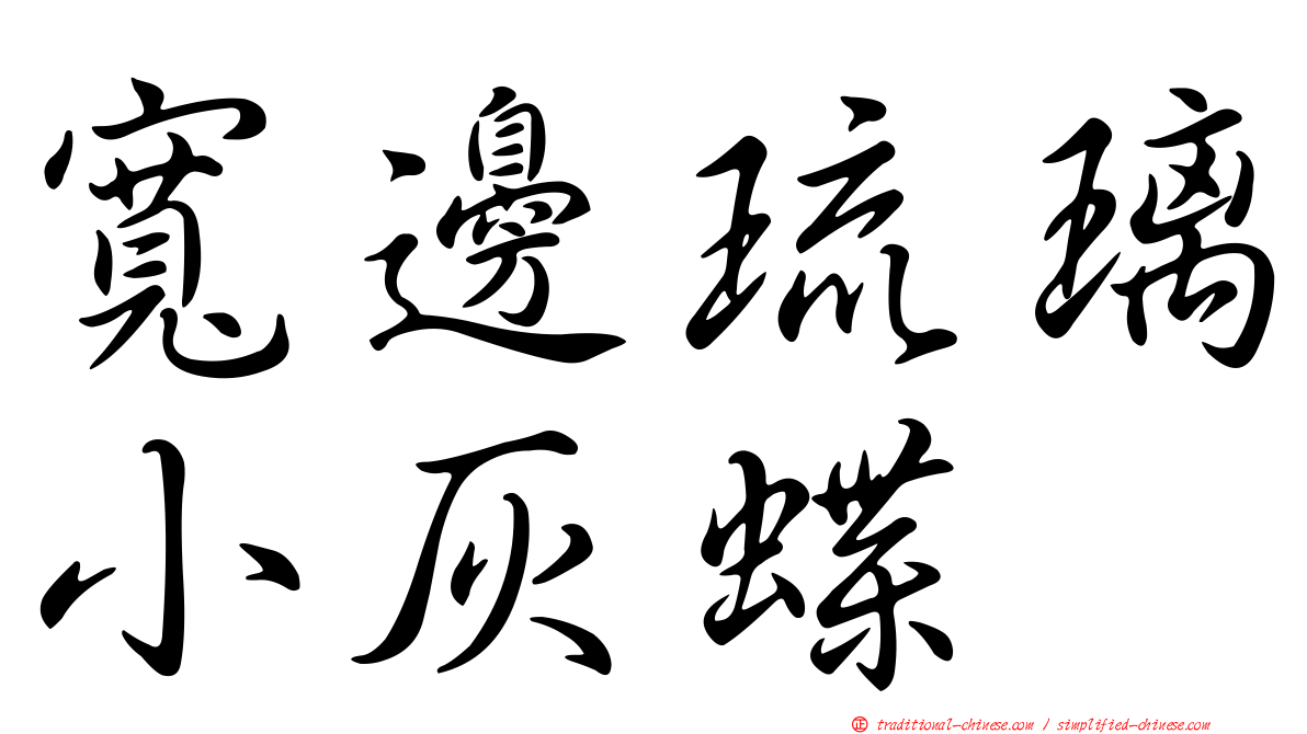 寬邊琉璃小灰蝶
