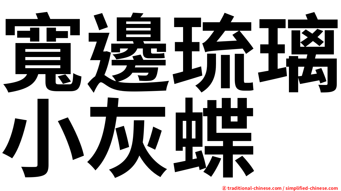 寬邊琉璃小灰蝶