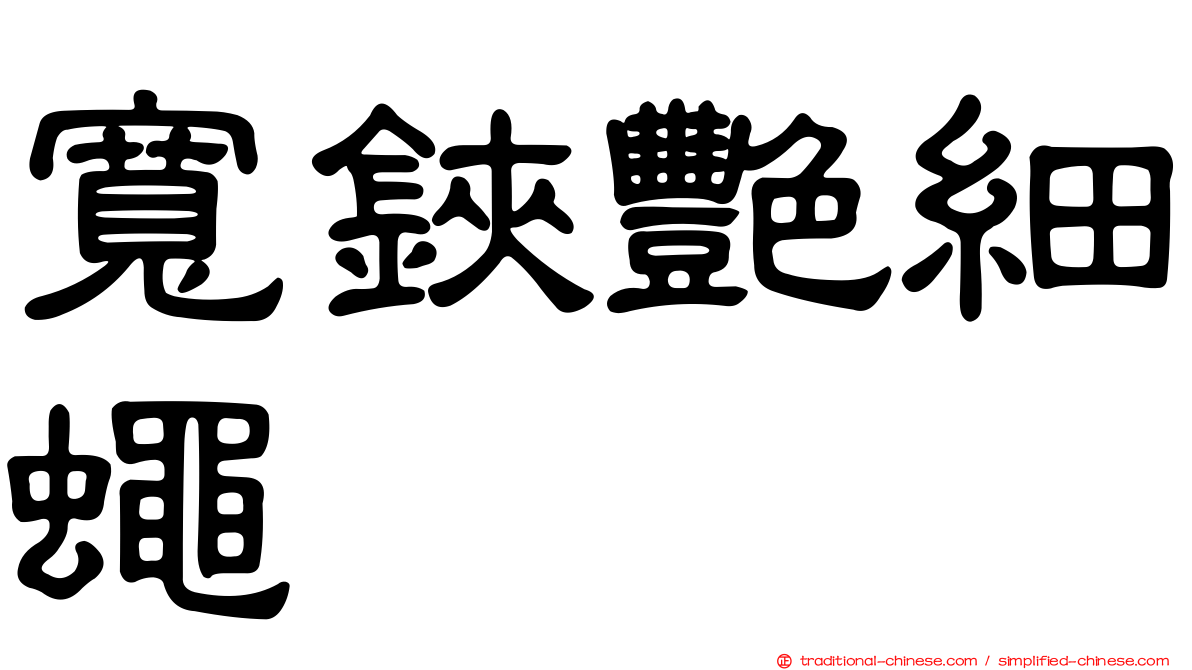 寬鋏艷細蠅