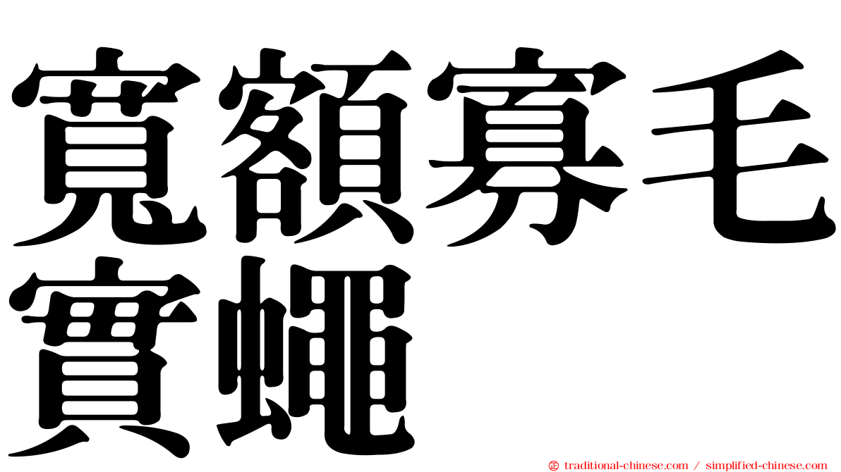 寬額寡毛實蠅