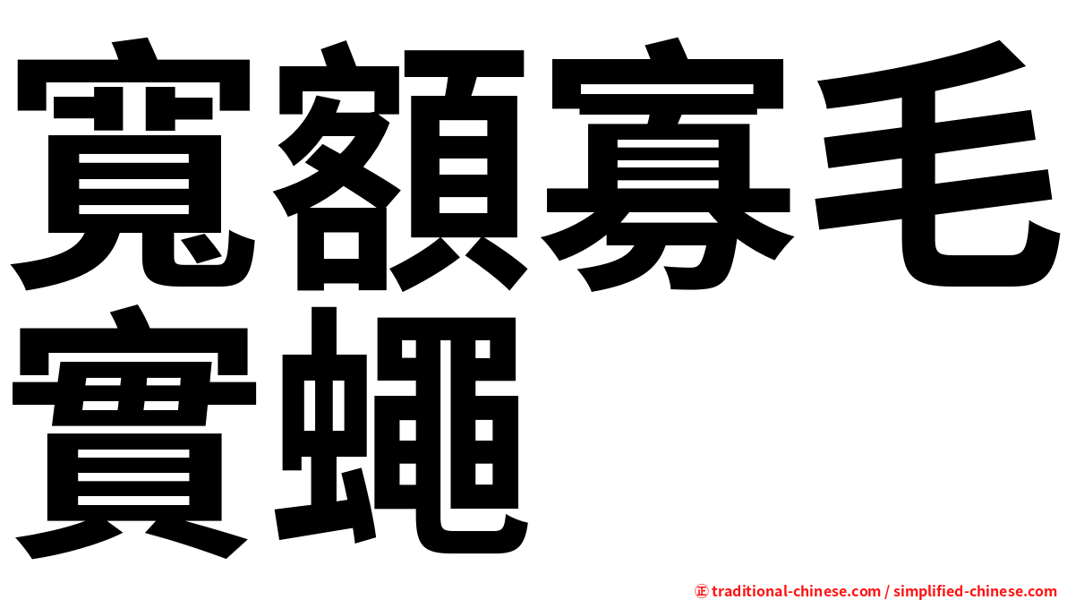 寬額寡毛實蠅