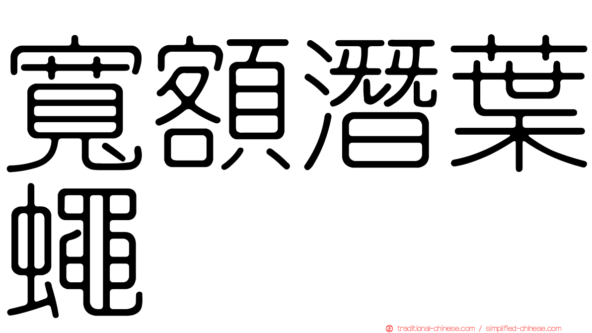 寬額潛葉蠅