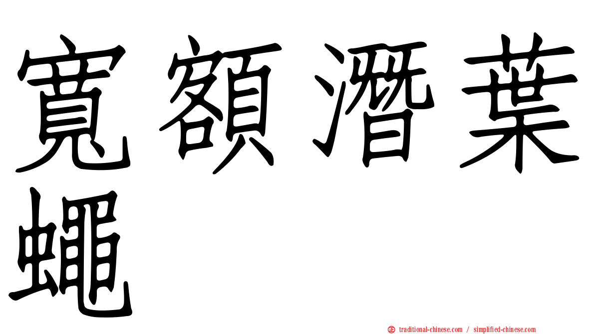寬額潛葉蠅