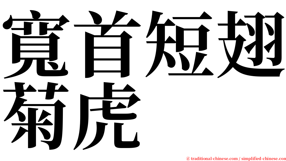 寬首短翅菊虎 serif font