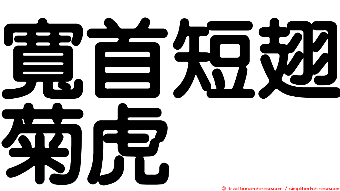 寬首短翅菊虎
