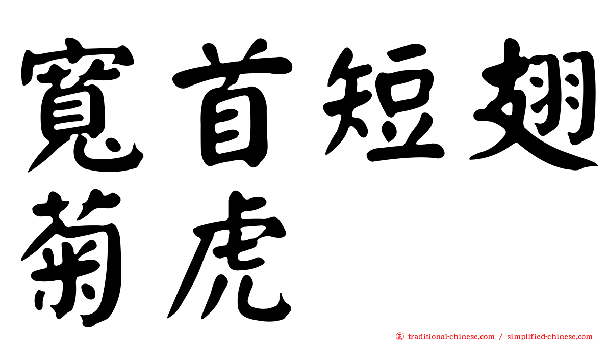 寬首短翅菊虎
