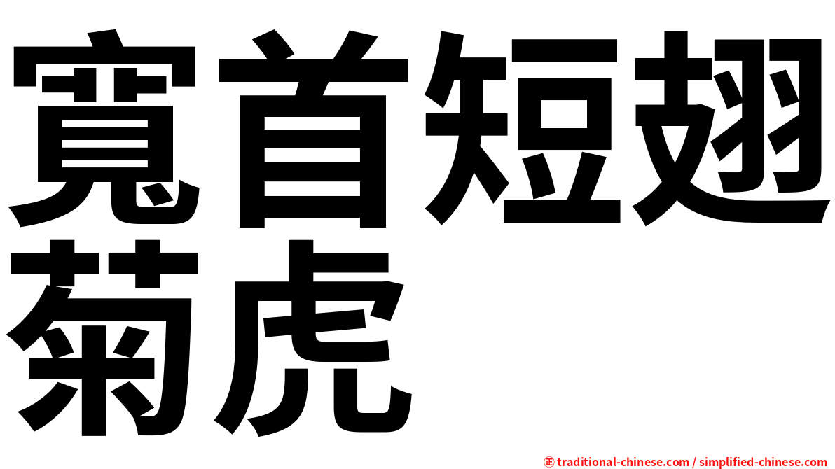 寬首短翅菊虎