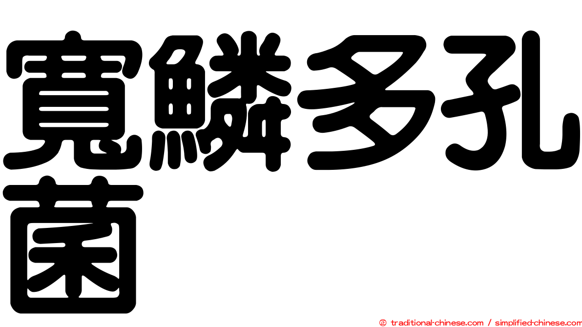 寬鱗多孔菌