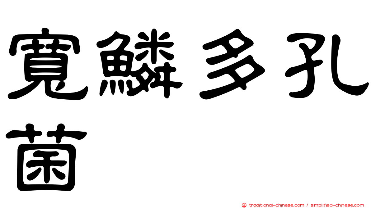 寬鱗多孔菌