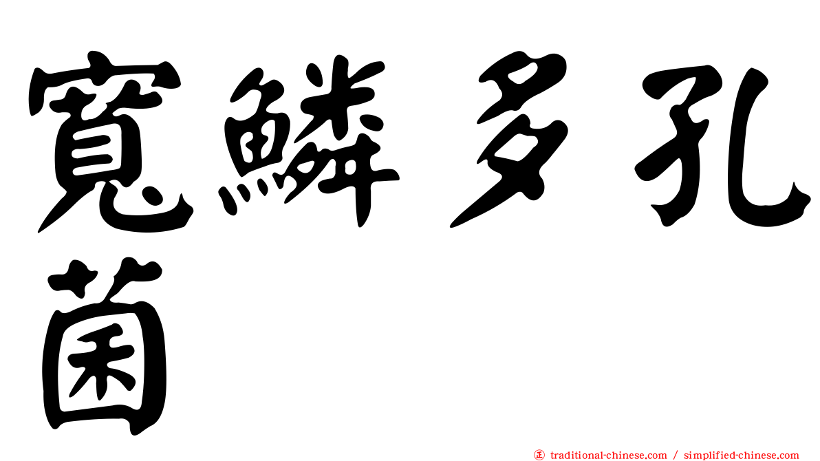 寬鱗多孔菌