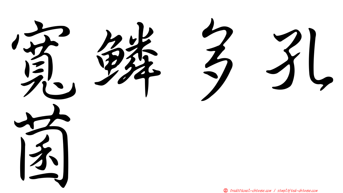寬鱗多孔菌