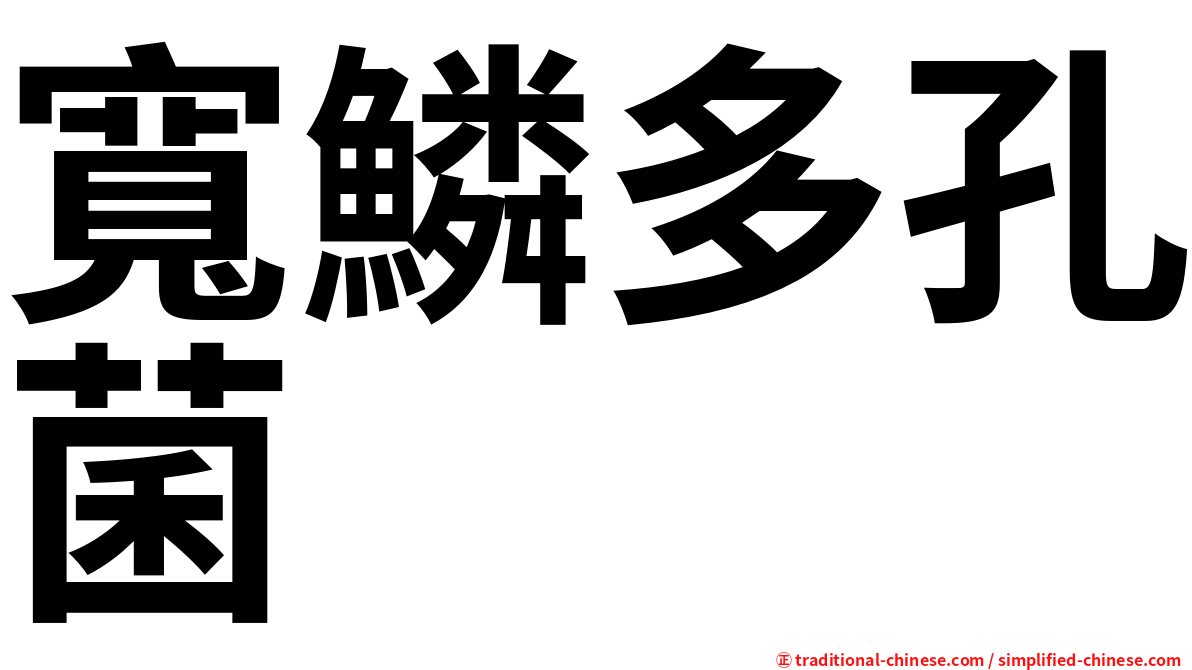 寬鱗多孔菌