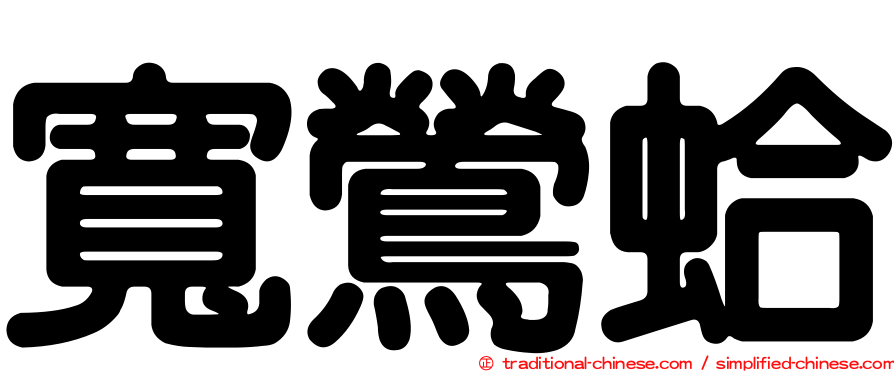 寬鶯蛤