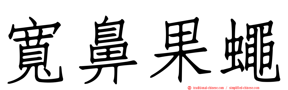 寬鼻果蠅