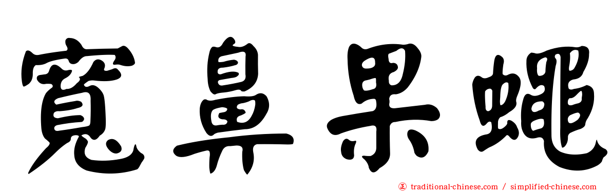 寬鼻果蠅