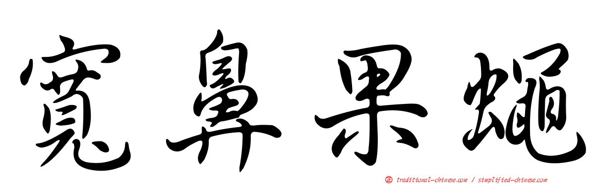 寬鼻果蠅