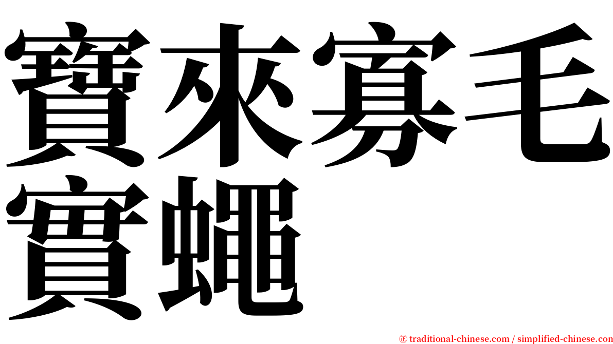 寶來寡毛實蠅 serif font
