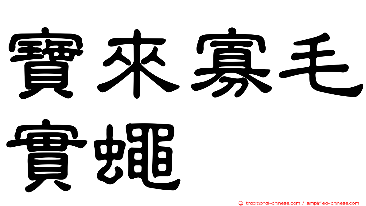 寶來寡毛實蠅