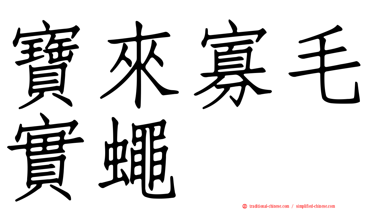 寶來寡毛實蠅