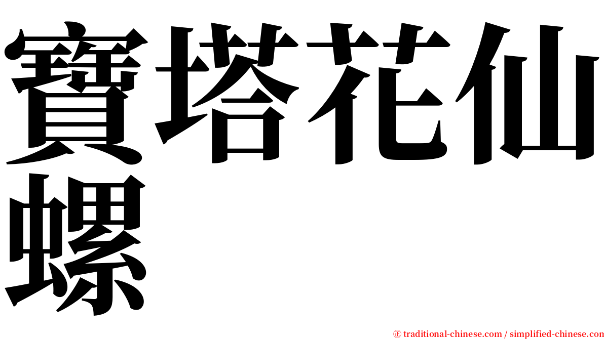 寶塔花仙螺 serif font