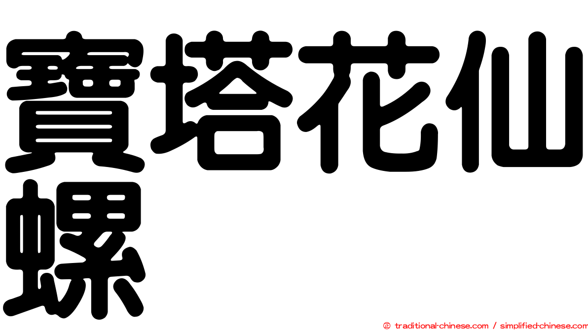 寶塔花仙螺