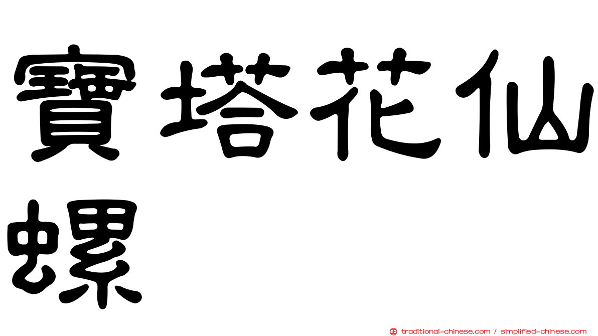 寶塔花仙螺