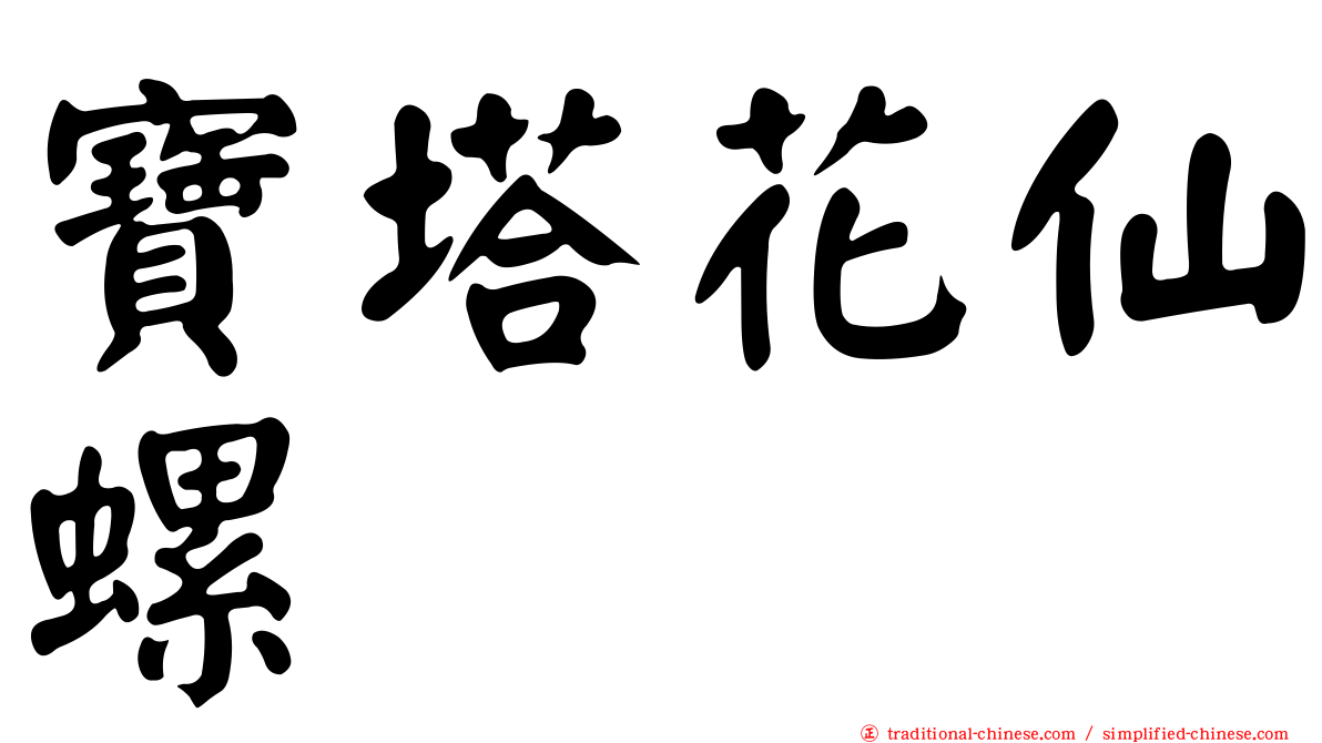 寶塔花仙螺