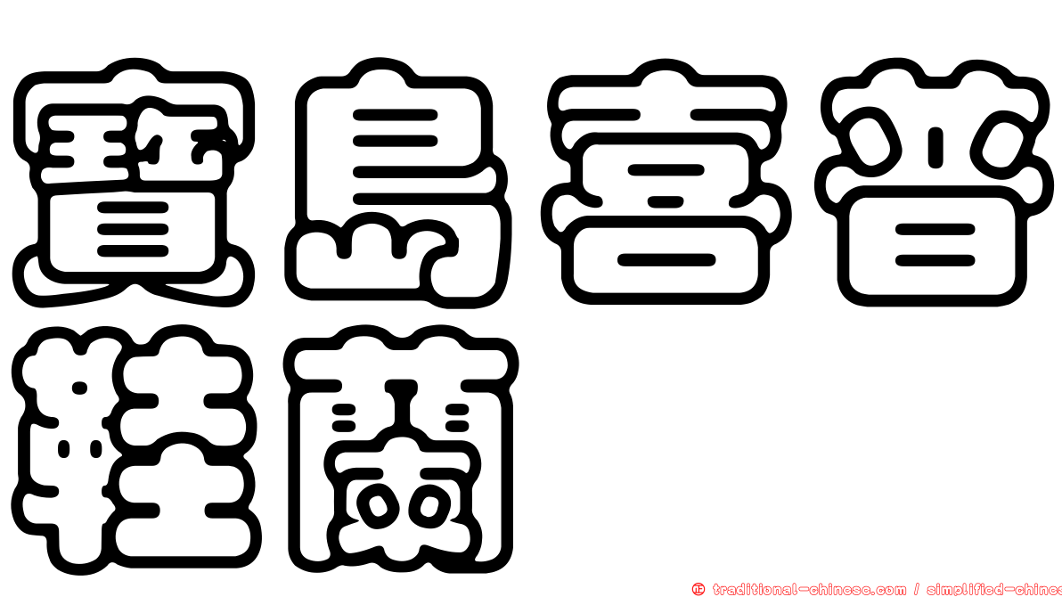 寶島喜普鞋蘭