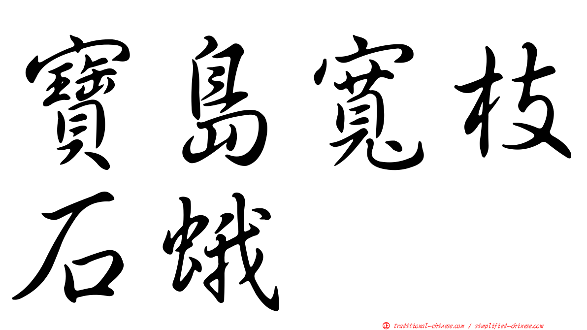 寶島寬枝石蛾