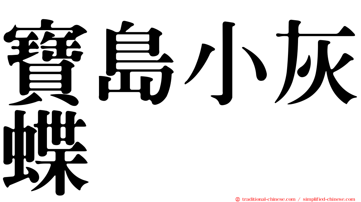 寶島小灰蝶