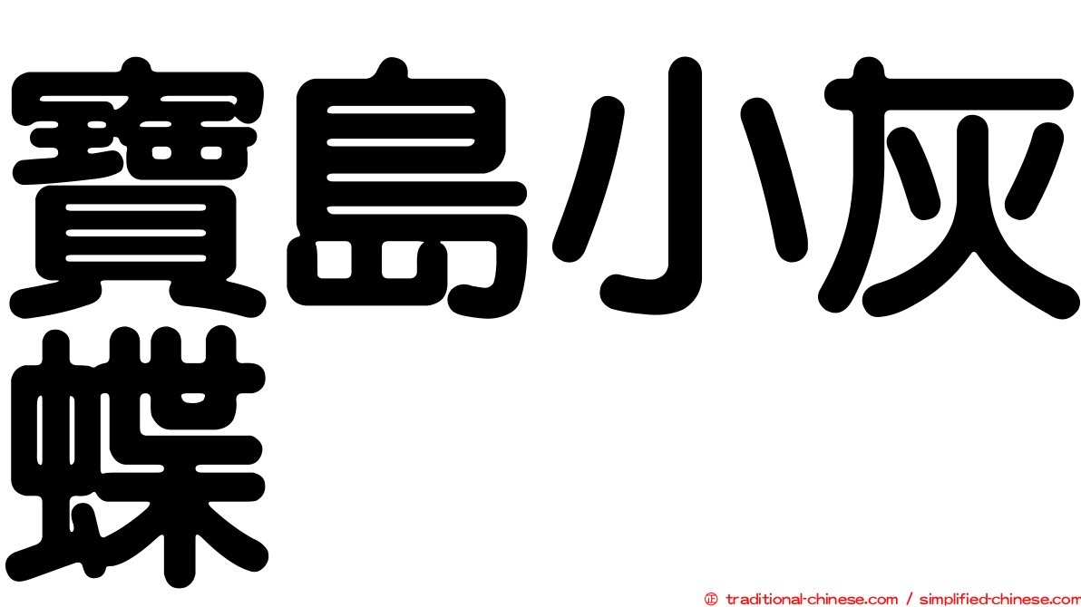 寶島小灰蝶