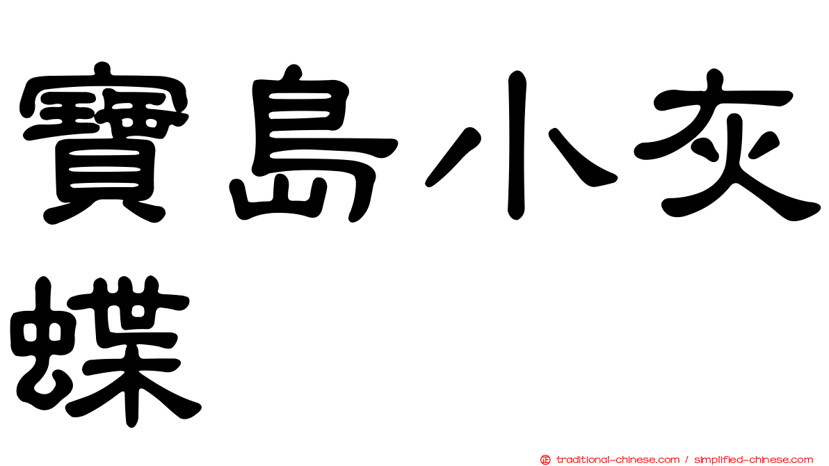 寶島小灰蝶