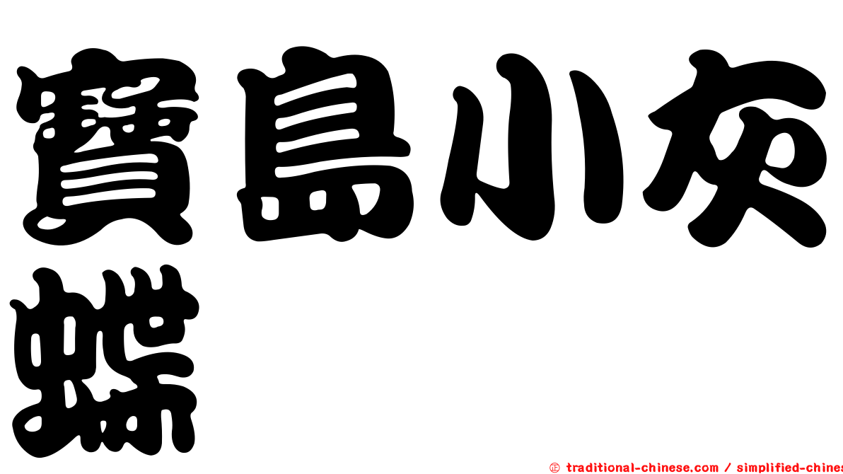 寶島小灰蝶