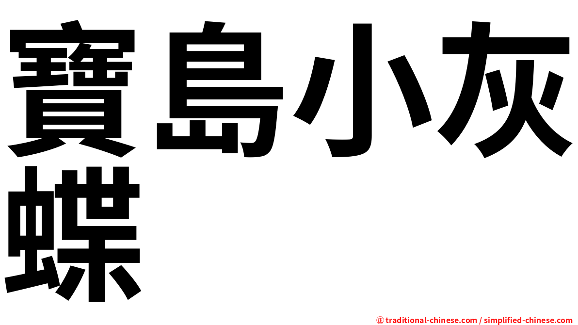 寶島小灰蝶