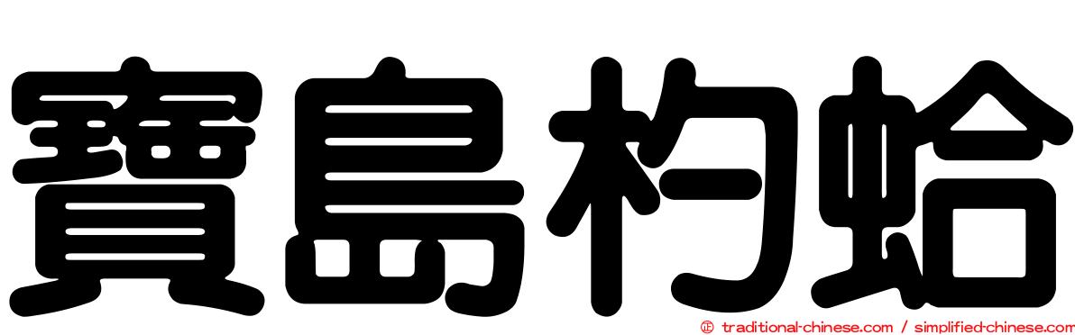 寶島杓蛤