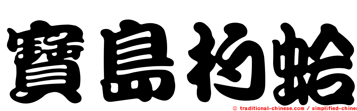 寶島杓蛤