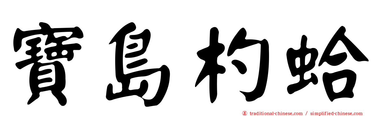 寶島杓蛤