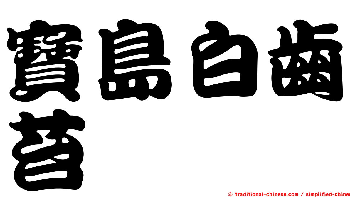 寶島白齒苔
