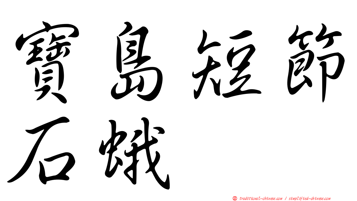 寶島短節石蛾
