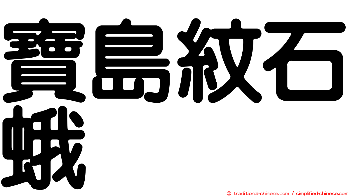 寶島紋石蛾