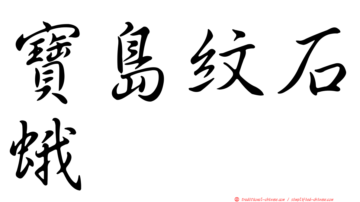 寶島紋石蛾