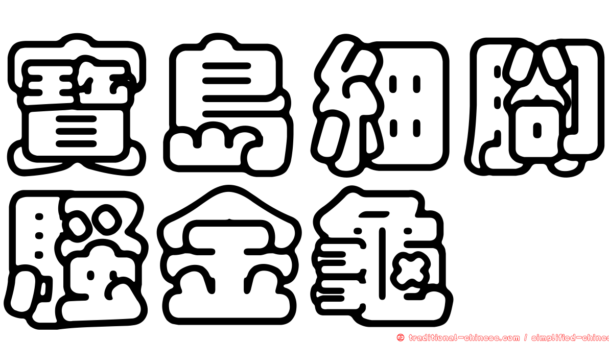 寶島細腳騷金龜
