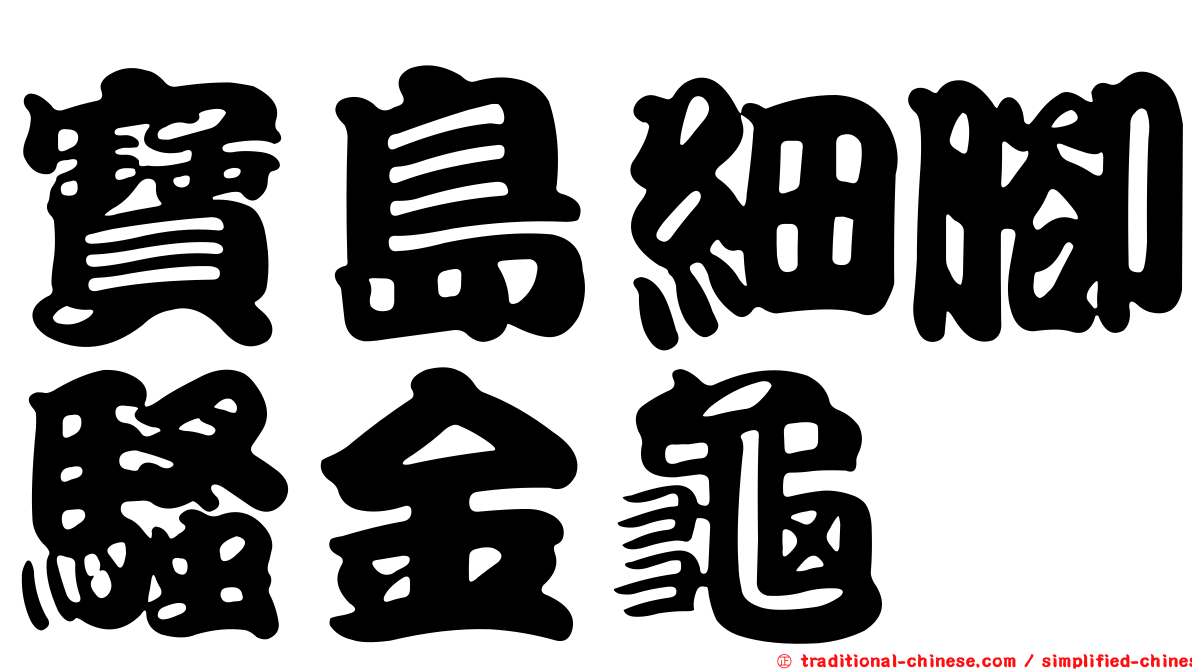 寶島細腳騷金龜