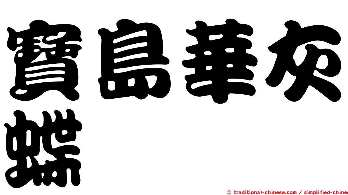 寶島華灰蝶