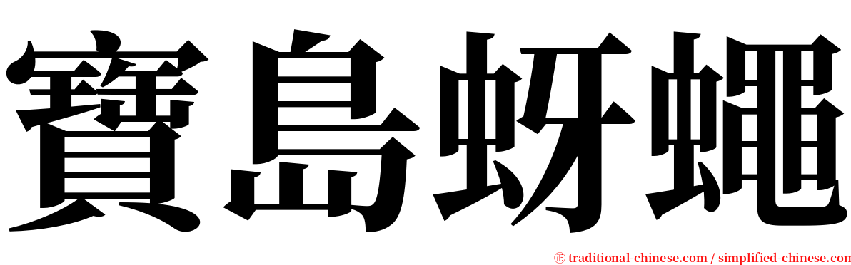 寶島蚜蠅 serif font